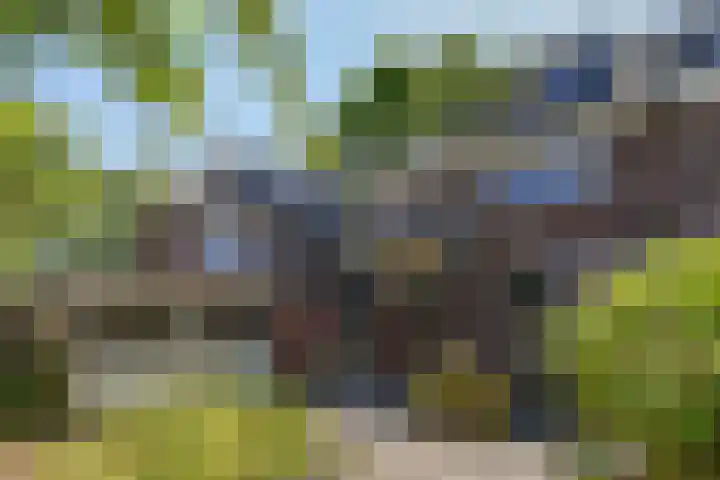 Burg. Vogelslaan 2 Oisterwijk thumbnail 36