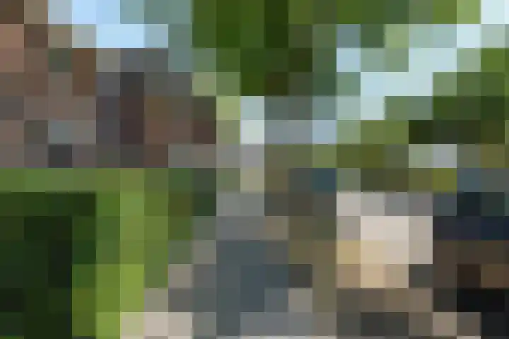 Burg. Vogelslaan 2 Oisterwijk thumbnail 4