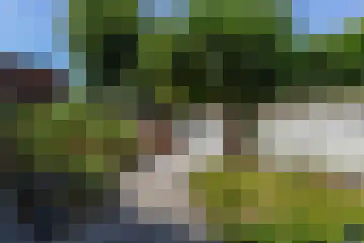Burg. Vogelslaan 2 Oisterwijk thumbnail 41