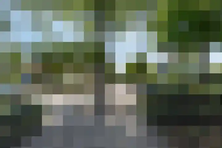 Burg. Vogelslaan 2 Oisterwijk thumbnail 5