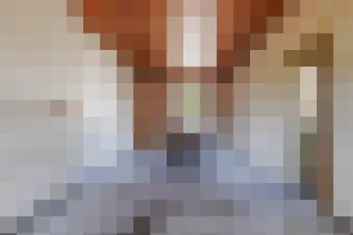 Burg. Vogelslaan 2 Oisterwijk thumbnail 9