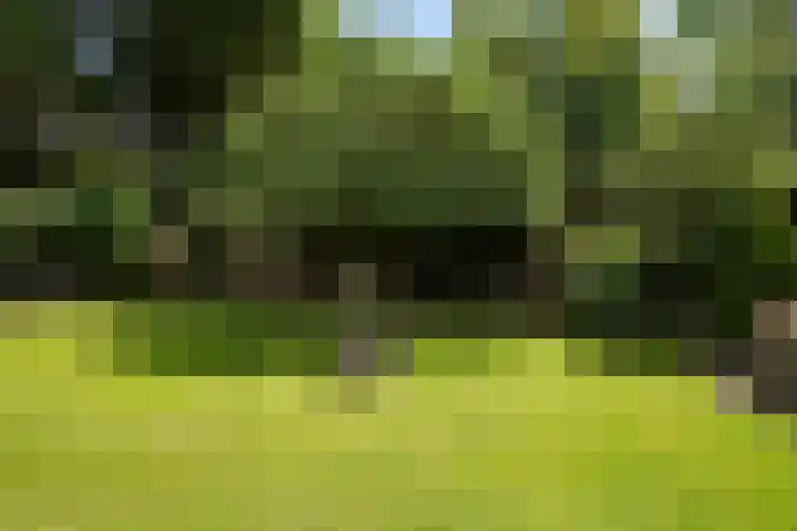 Burg. Vogelslaan 59 Oisterwijk thumbnail 26