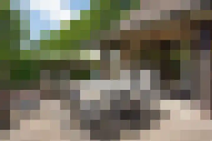 Burg. Vogelslaan 59 Oisterwijk thumbnail 27