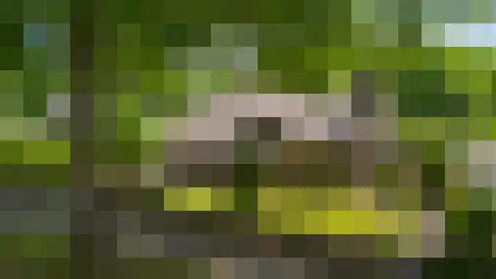 Burg. Vogelslaan 59 Oisterwijk thumbnail 29