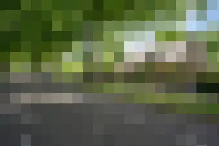 Burg. Vogelslaan 59 Oisterwijk thumbnail 30