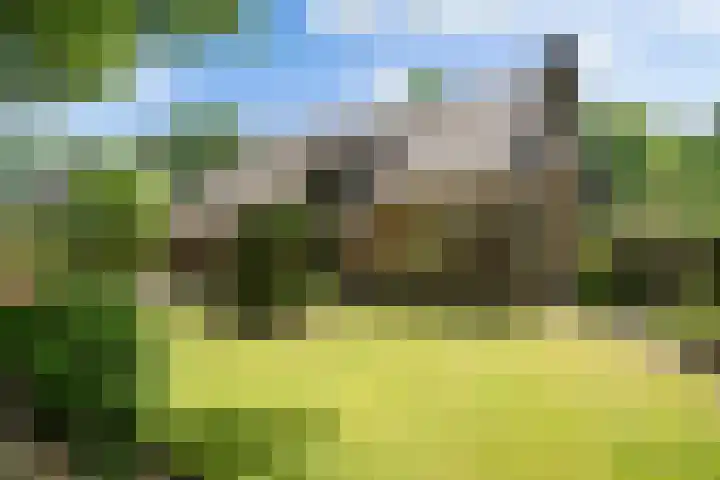 Burg. Vogelslaan 59 Oisterwijk thumbnail 35