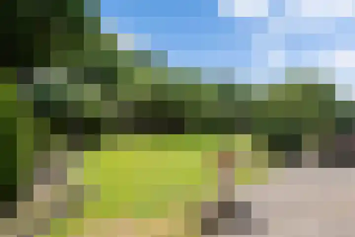 Burg. Vogelslaan 59 Oisterwijk thumbnail 4