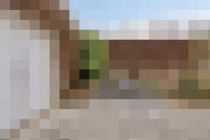 Burg. Vogelslaan 91 Oisterwijk thumbnail 29