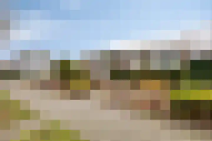 Burg. Vogelslaan 91 Oisterwijk thumbnail 33