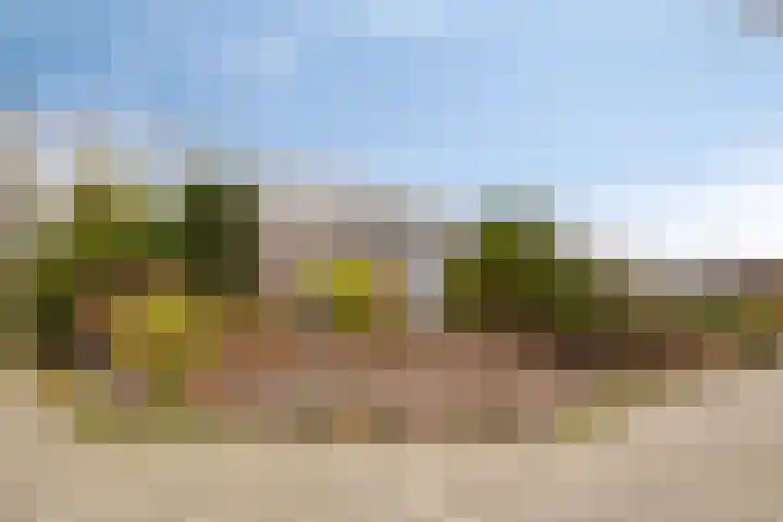 Burg. Vogelslaan 91 Oisterwijk thumbnail 34