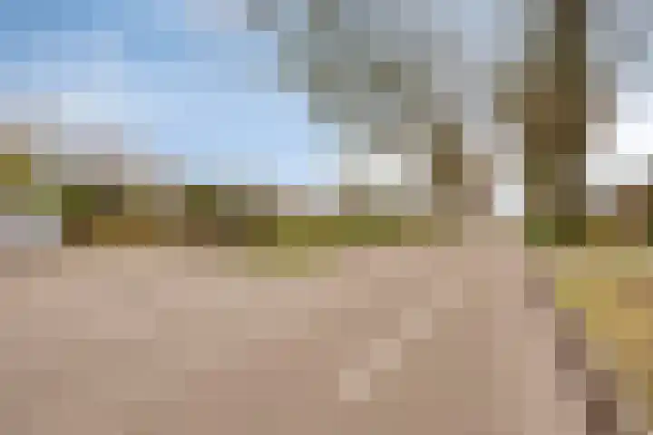 Burg. Vogelslaan 91 Oisterwijk thumbnail 35