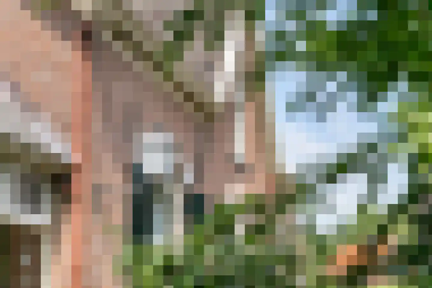 Burg. Vrijlandweg 13 Hoog-Keppel thumbnail 18