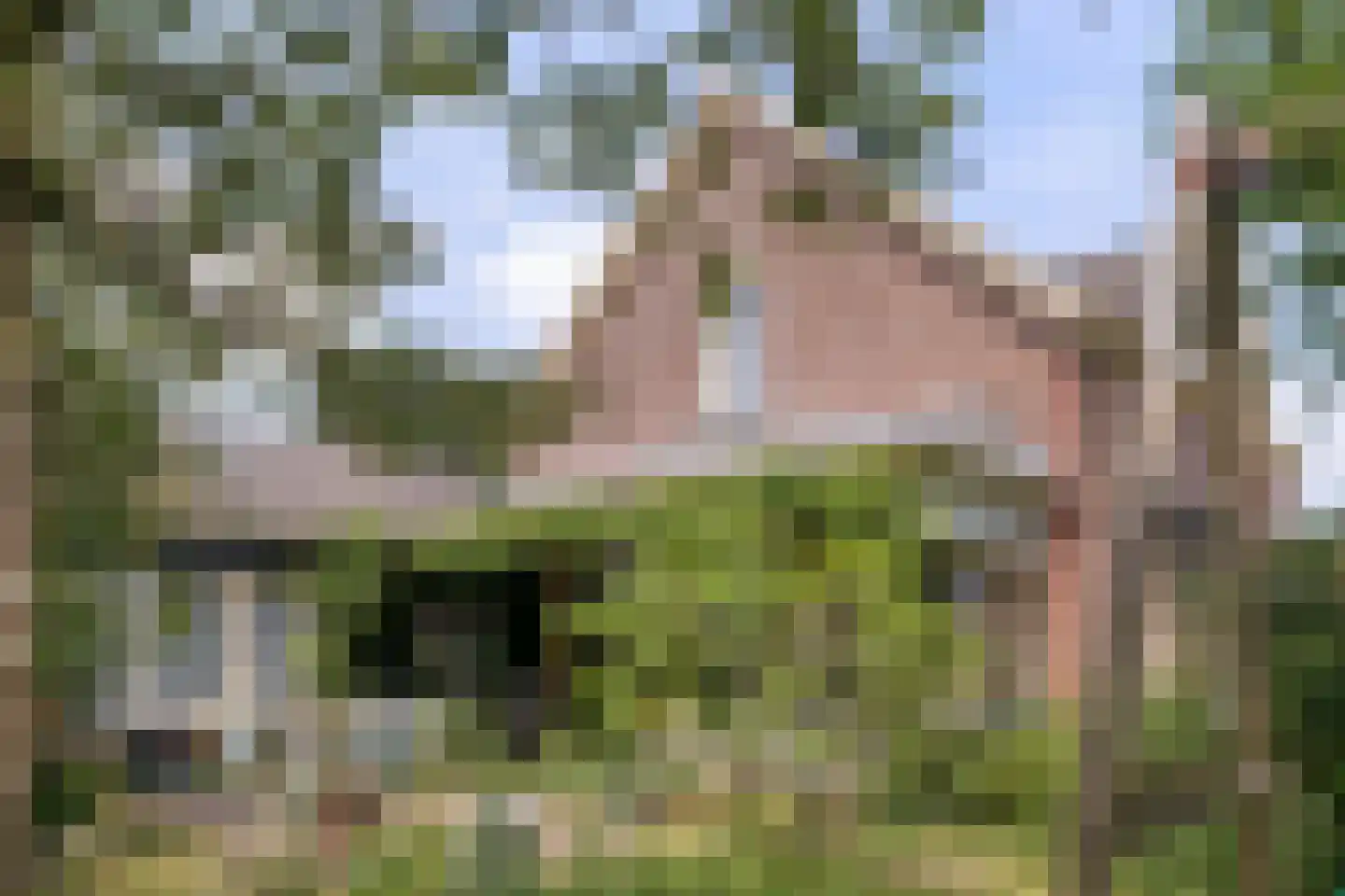 Burg. Vrijlandweg 13 Hoog-Keppel thumbnail 31