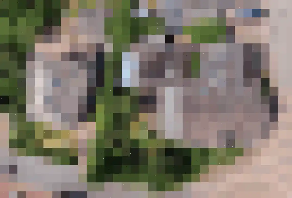 Burg. Vrijlandweg 13 Hoog-Keppel thumbnail 6
