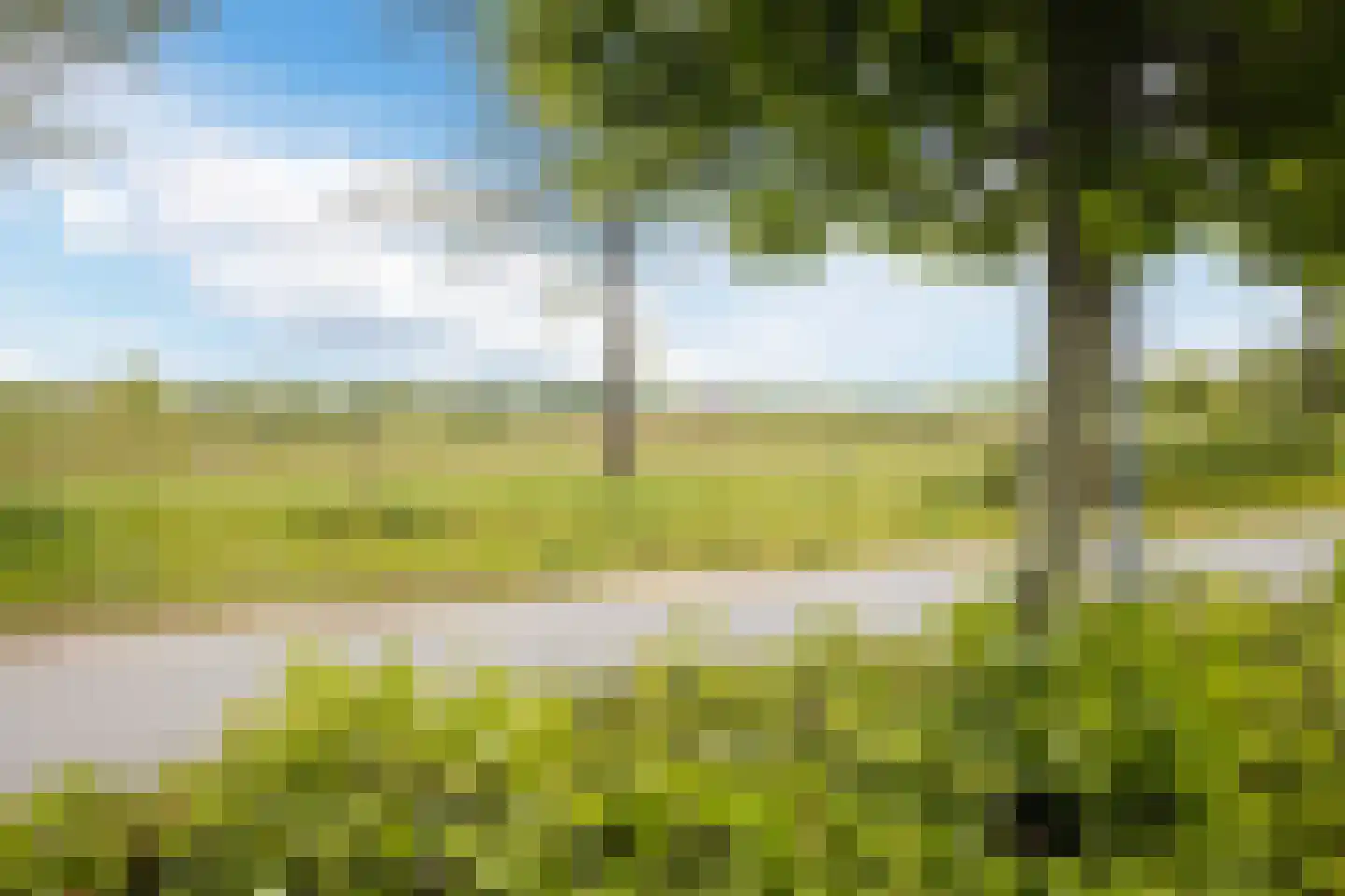 Burg. Vrijlandweg 34 Hoog-Keppel thumbnail 12