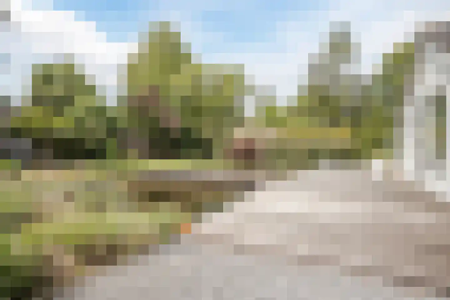 Burg. Vrijlandweg 34 Hoog-Keppel thumbnail 56