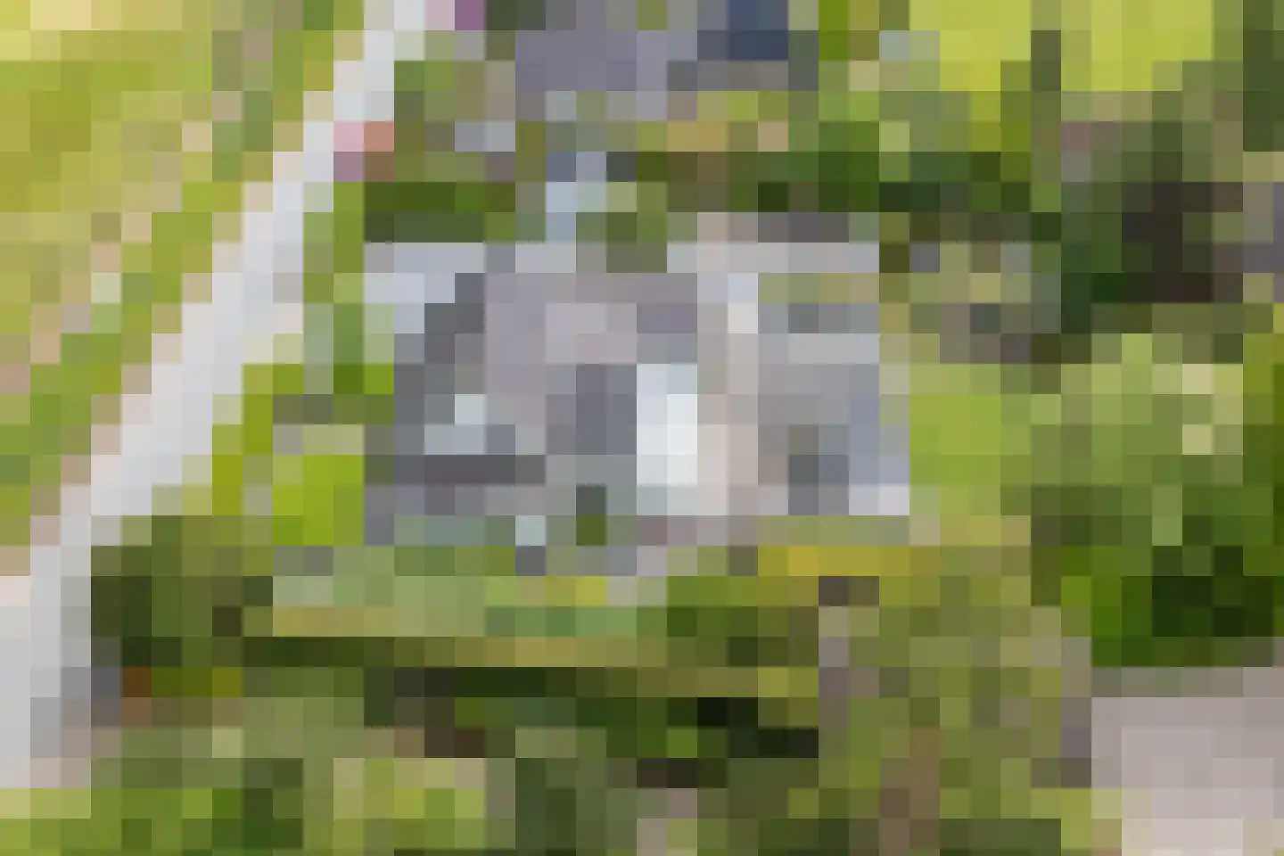 Burg. Vrijlandweg 34 Hoog-Keppel thumbnail 62