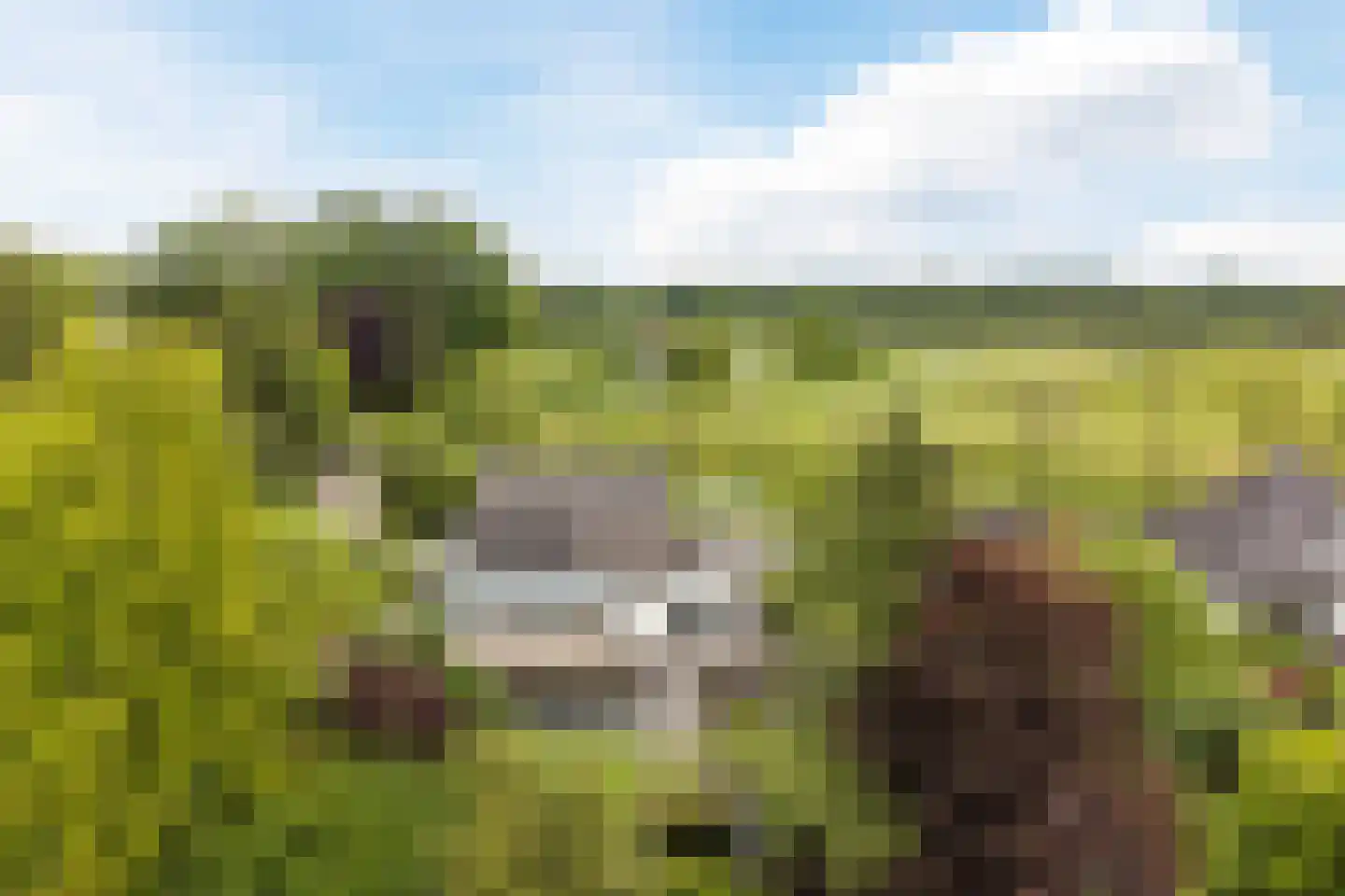 Burg. Vrijlandweg 34 Hoog-Keppel thumbnail 63