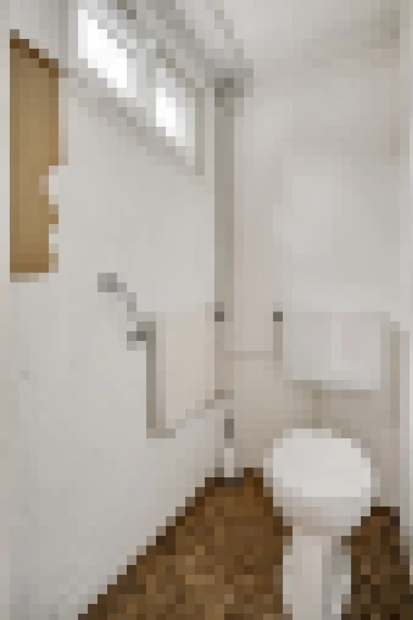 Burg. Vullersstraat 20 Nederweert thumbnail 14