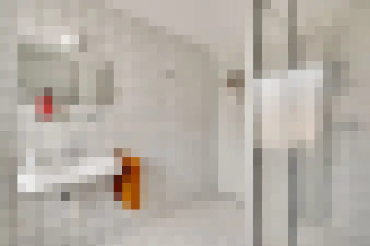 Burg. Vullersstraat 20 Nederweert thumbnail 24