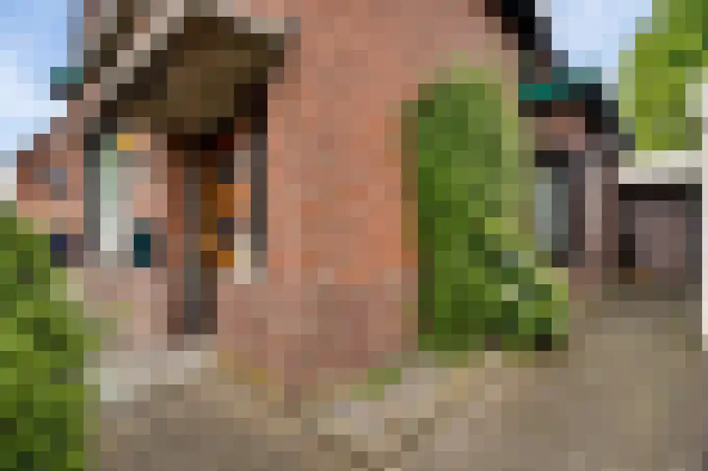 Burg. Vullersstraat 20 Nederweert thumbnail 40