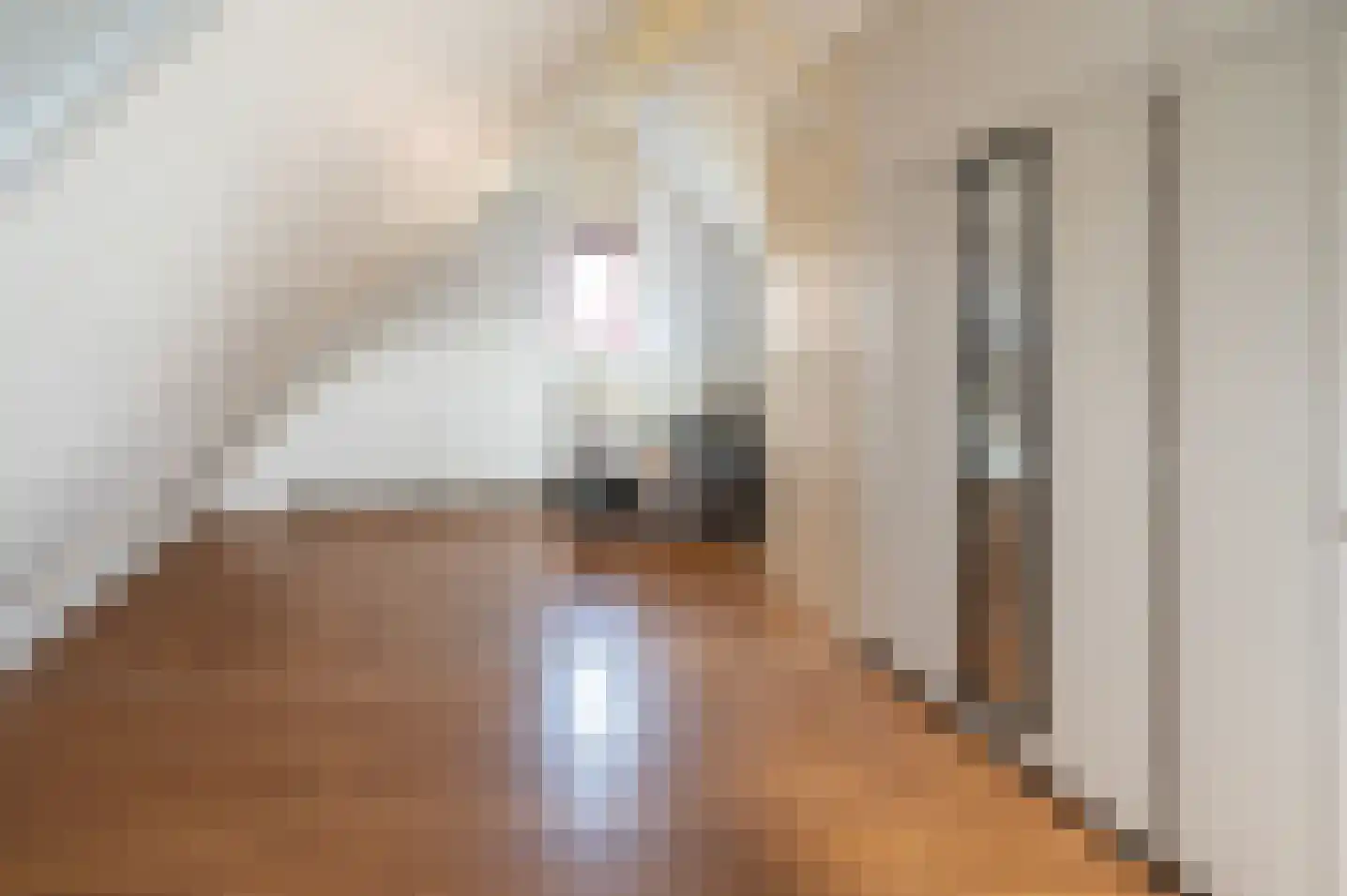 Burg Vunderinkhof 14 Vorden thumbnail 30