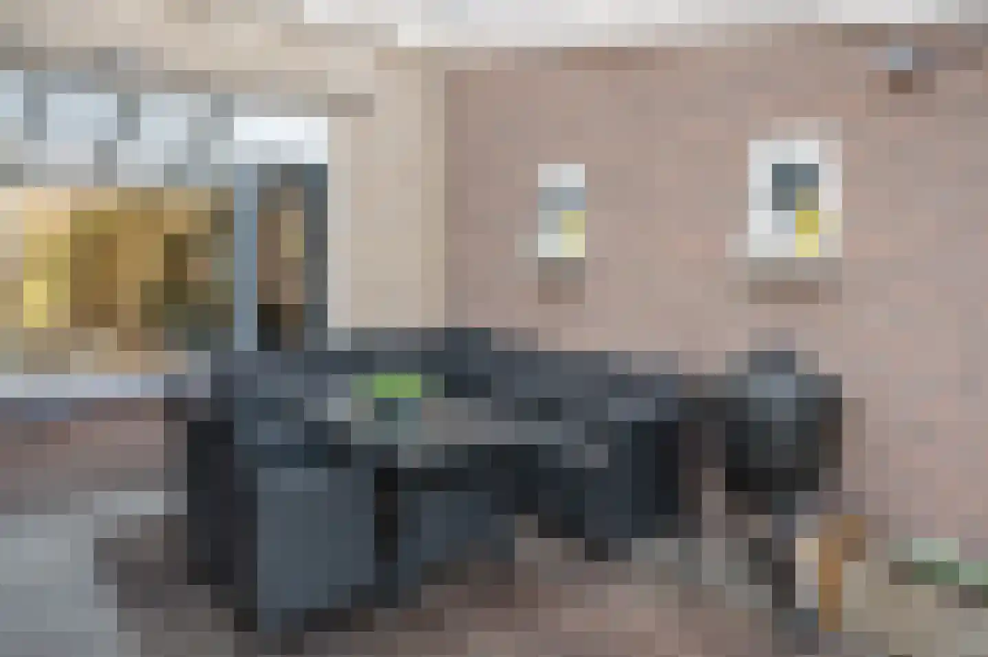 Burg Vunderinkhof 14 Vorden thumbnail 33
