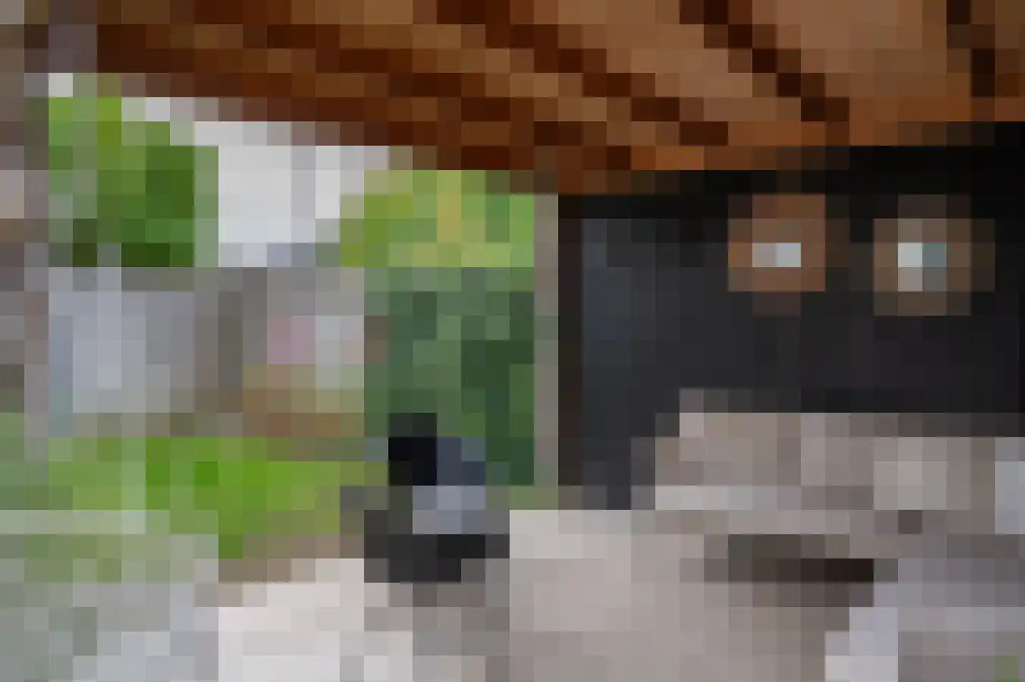 Burg Vunderinkhof 18 Vorden thumbnail 46