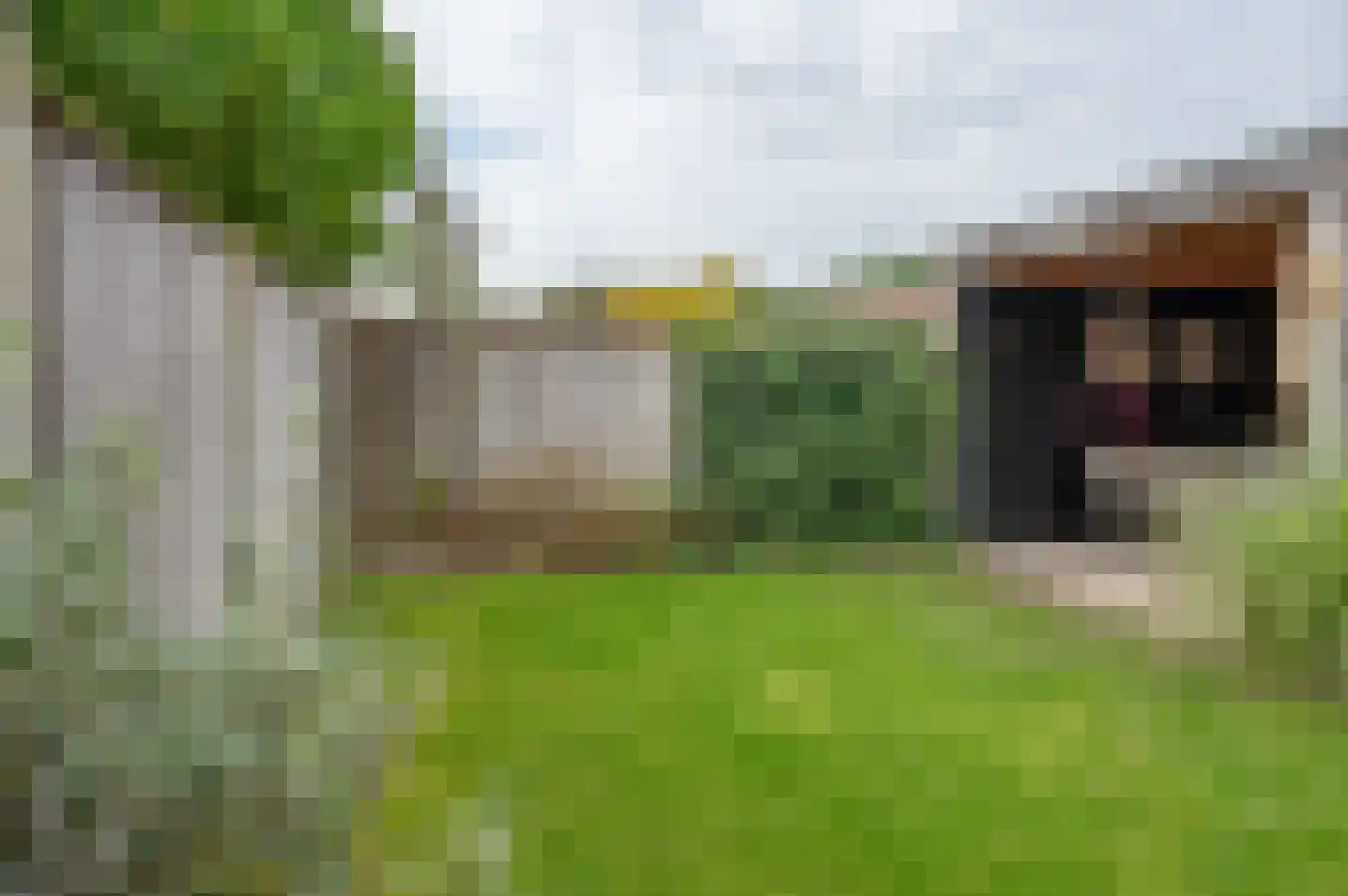 Burg Vunderinkhof 18 Vorden thumbnail 49