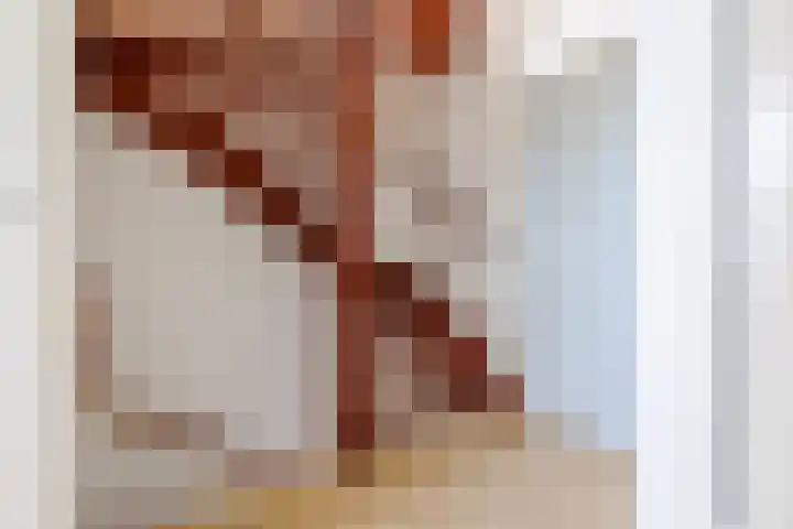 Burg W E v Weedelaan 12 Amerongen thumbnail 13