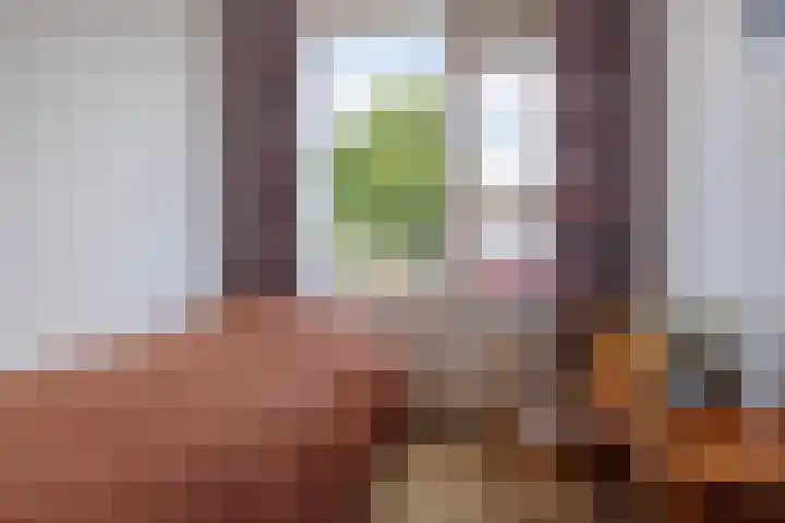 Burg W E v Weedelaan 12 Amerongen thumbnail 17