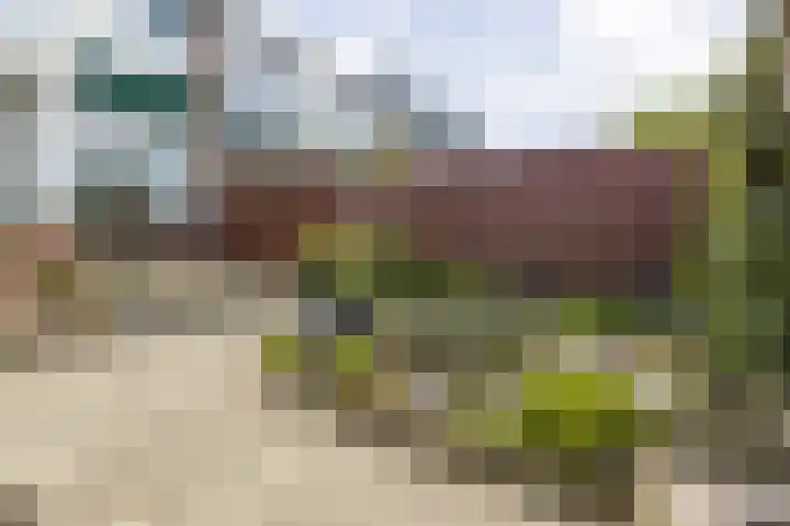 Burg W E v Weedelaan 12 Amerongen thumbnail 24