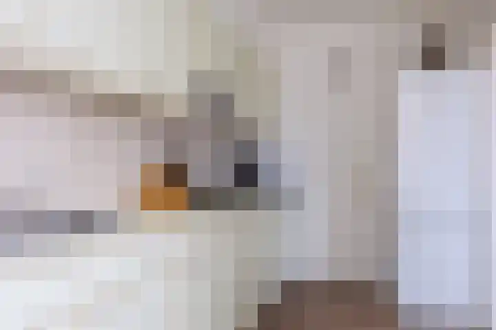 Burg W E v Weedelaan 12 Amerongen thumbnail 8
