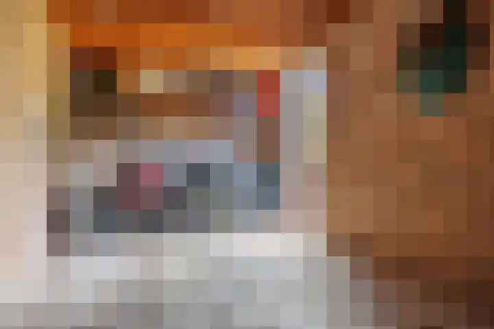 Burg W E v Weedelaan 3 Amerongen thumbnail 17