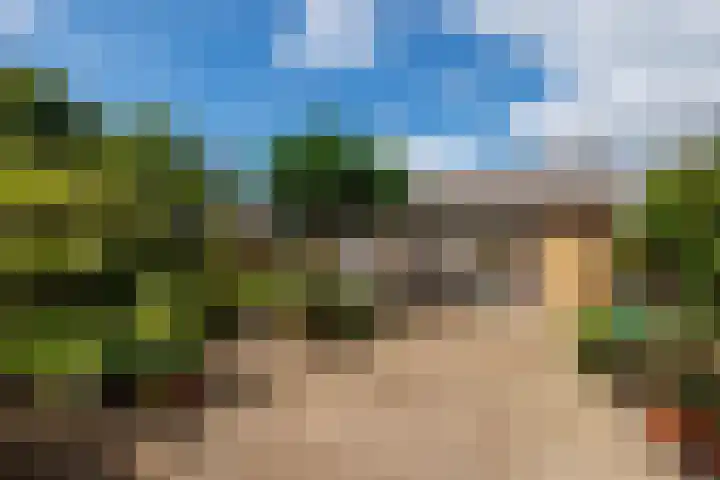 Burg W E v Weedelaan 3 Amerongen thumbnail 18