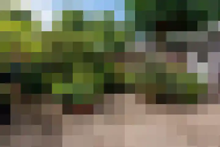 Burg W E v Weedelaan 3 Amerongen thumbnail 19