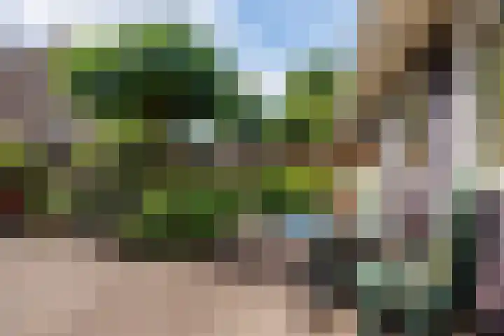Burg W E v Weedelaan 3 Amerongen thumbnail 20