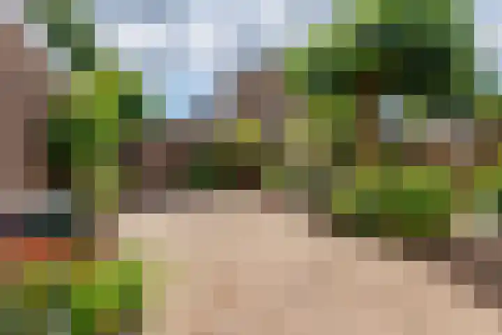 Burg W E v Weedelaan 3 Amerongen thumbnail 21