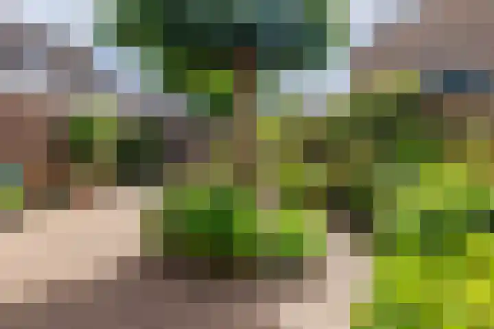 Burg W E v Weedelaan 3 Amerongen thumbnail 22