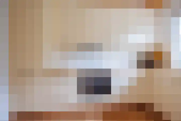 Burg W E v Weedelaan 3 Amerongen thumbnail 6