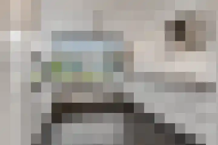 Burg W E v Weedelaan 7 Amerongen thumbnail 14