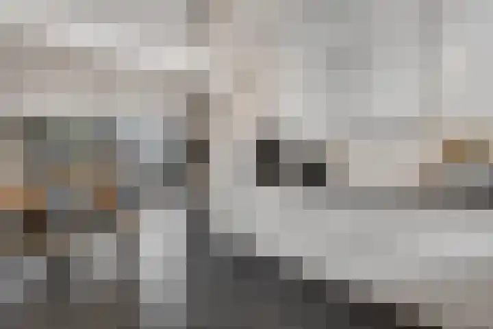 Burg W E v Weedelaan 7 Amerongen thumbnail 15