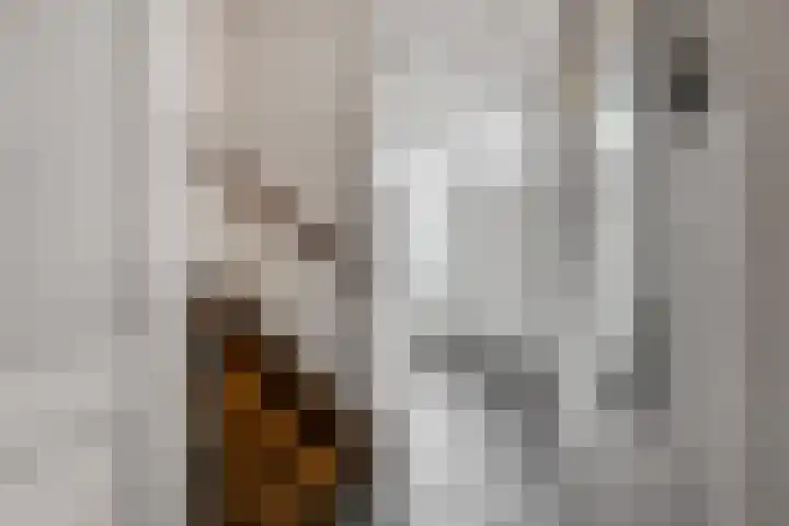 Burg W E v Weedelaan 7 Amerongen thumbnail 17