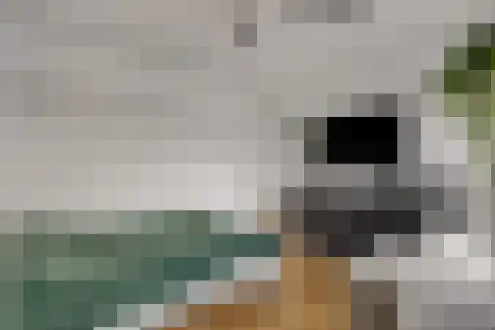Burg W E v Weedelaan 7 Amerongen thumbnail 21