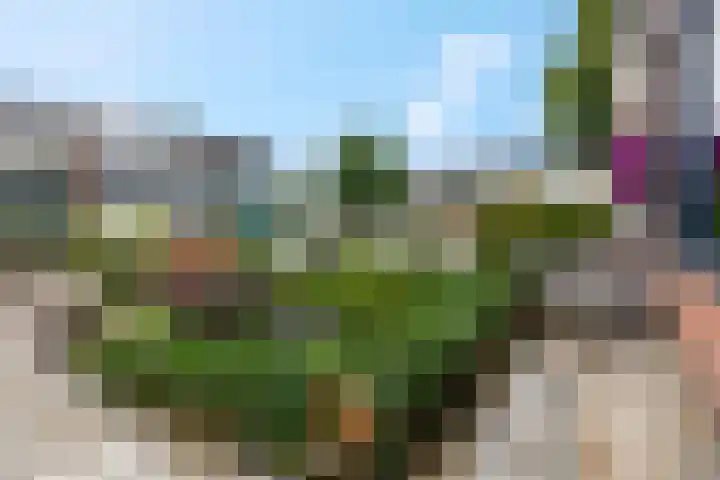 Burg W E v Weedelaan 7 Amerongen thumbnail 33