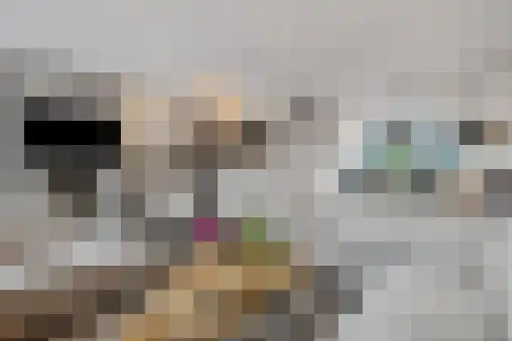 Burg W E v Weedelaan 7 Amerongen thumbnail 8