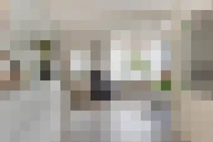 Burg. Warnerslaan 17 Anna Paulowna thumbnail 10