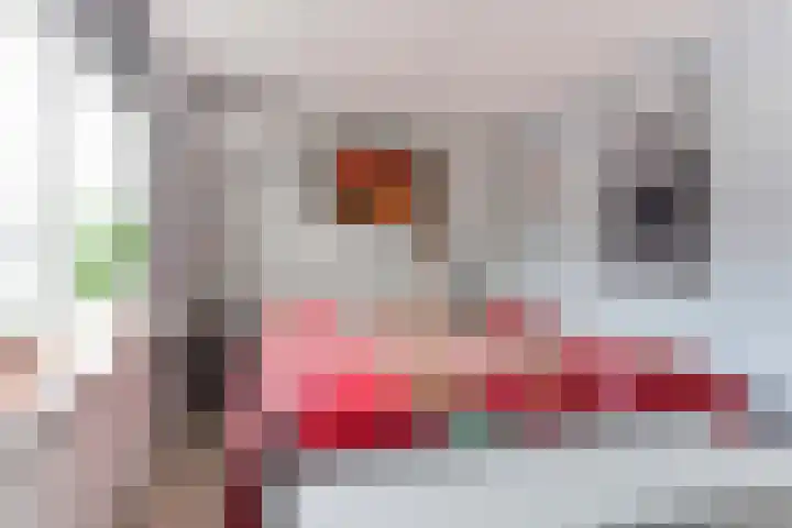 Burg. Warnerslaan 17 Anna Paulowna thumbnail 22