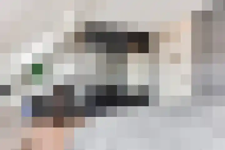 Burg. Warnerslaan 17 Anna Paulowna thumbnail 25
