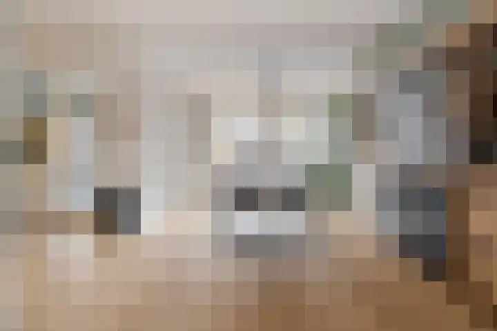 Burg. Warnerslaan 2 Anna Paulowna thumbnail 14